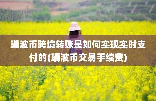 瑞波币跨境转账是如何实现实时支付的(瑞波币交易手续费)