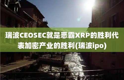 瑞波CEOSEC就是恶霸XRP的胜利代表加密产业的胜利(瑞波ipo)