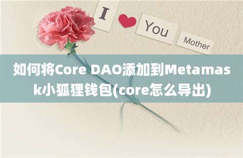 如何将Core DAO添加到Metamask小狐狸钱包(core怎么导出)