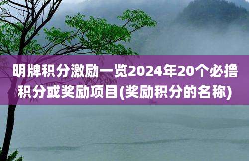 明牌积分激励一览2024年20个必撸积分或奖励项目(奖励积分的名称)