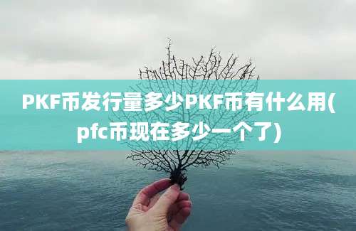 PKF币发行量多少PKF币有什么用(pfc币现在多少一个了)