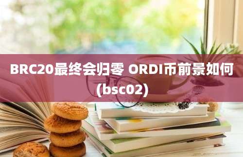 BRC20最终会归零 ORDI币前景如何(bsc02)