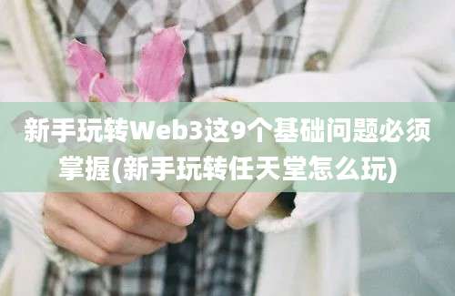 新手玩转Web3这9个基础问题必须掌握(新手玩转任天堂怎么玩)