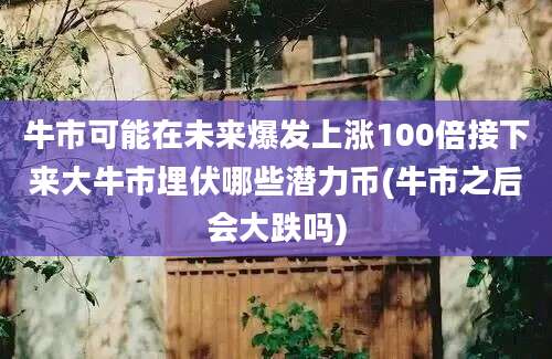 牛市可能在未来爆发上涨100倍接下来大牛市埋伏哪些潜力币(牛市之后会大跌吗)