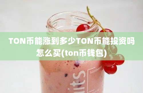 TON币能涨到多少TON币能投资吗怎么买(ton币钱包)