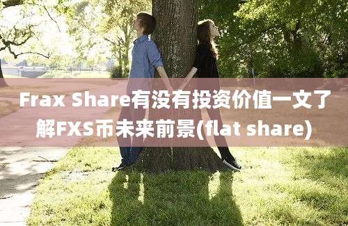 Frax Share有没有投资价值一文了解FXS币未来前景(flat share)