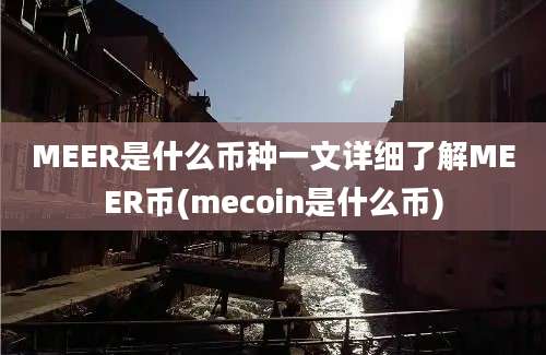 MEER是什么币种一文详细了解MEER币(mecoin是什么币)