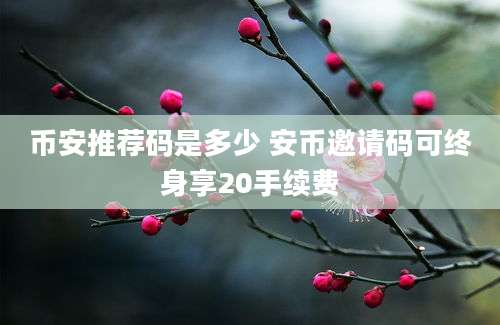 币安推荐码是多少 安币邀请码可终身享20手续费