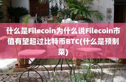 什么是Filecoin为什么说Filecoin市值有望超过比特币BTC(什么是预制菜)