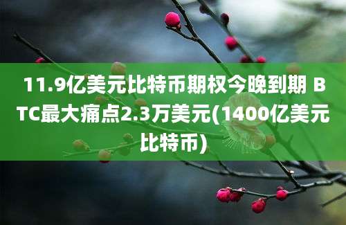 11.9亿美元比特币期权今晚到期 BTC最大痛点2.3万美元(1400亿美元比特币)