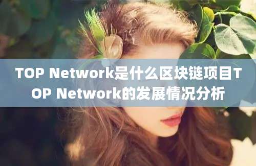 TOP Network是什么区块链项目TOP Network的发展情况分析