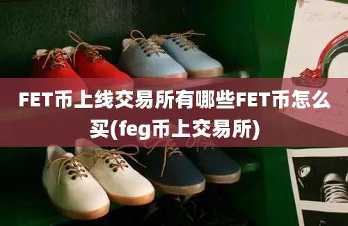 FET币上线交易所有哪些FET币怎么买(feg币上交易所)