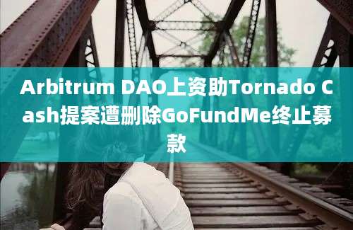 Arbitrum DAO上资助Tornado Cash提案遭删除GoFundMe终止募款