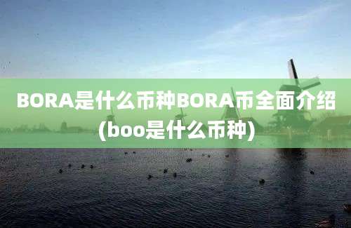 BORA是什么币种BORA币全面介绍(boo是什么币种)