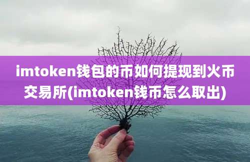 imtoken钱包的币如何提现到火币交易所(imtoken钱币怎么取出)