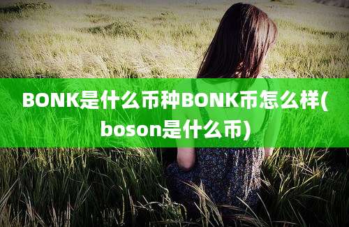 BONK是什么币种BONK币怎么样(boson是什么币)