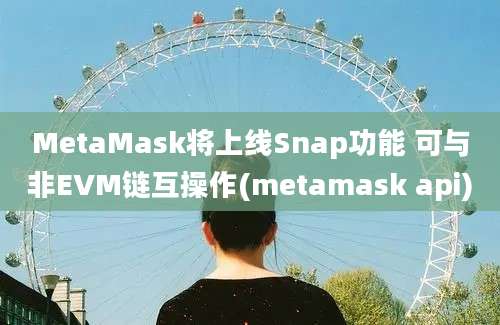 MetaMask将上线Snap功能 可与非EVM链互操作(metamask api)