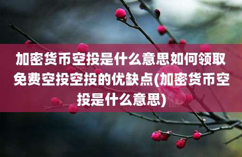 加密货币空投是什么意思如何领取免费空投空投的优缺点(加密货币空投是什么意思)