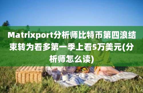 Matrixport分析师比特币第四浪结束转为看多第一季上看5万美元(分析师怎么读)