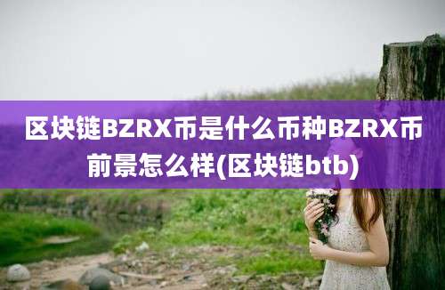 区块链BZRX币是什么币种BZRX币前景怎么样(区块链btb)