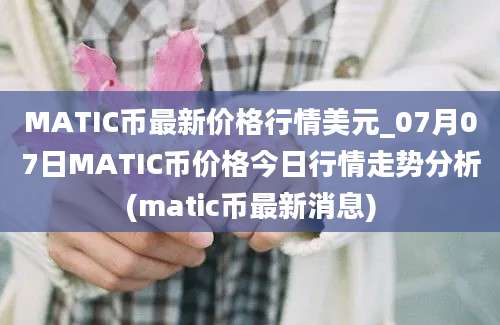 MATIC币最新价格行情美元_07月07日MATIC币价格今日行情走势分析(matic币最新消息)