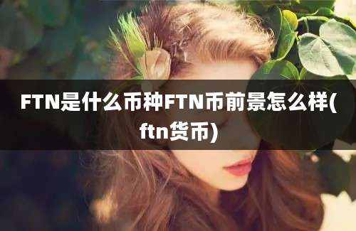 FTN是什么币种FTN币前景怎么样(ftn货币)