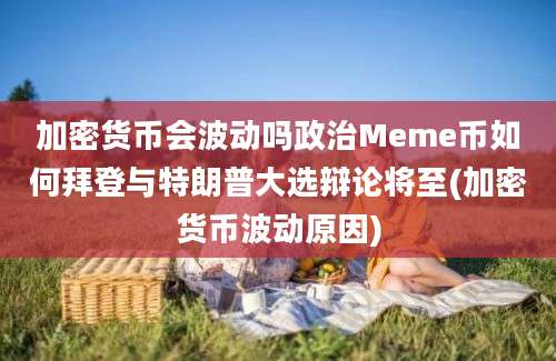 加密货币会波动吗政治Meme币如何拜登与特朗普大选辩论将至(加密货币波动原因)