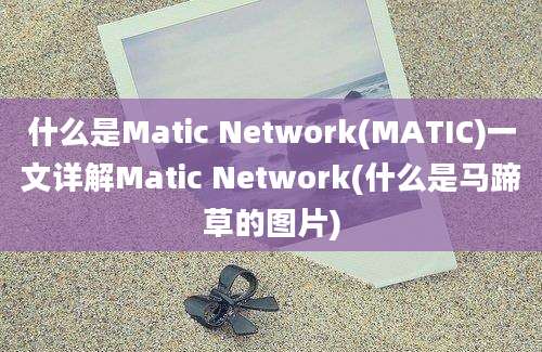 什么是Matic Network(MATIC)一文详解Matic Network(什么是马蹄草的图片)