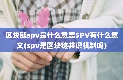 区块链spv是什么意思SPV有什么意义(spv是区块链共识机制吗)