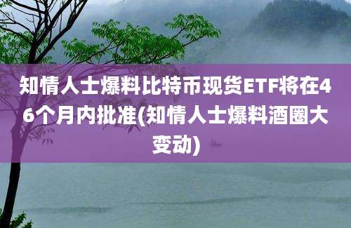 知情人士爆料比特币现货ETF将在46个月内批准(知情人士爆料酒圈大变动)