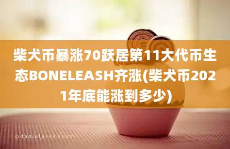 柴犬币暴涨70跃居第11大代币生态BONELEASH齐涨(柴犬币2021年底能涨到多少)