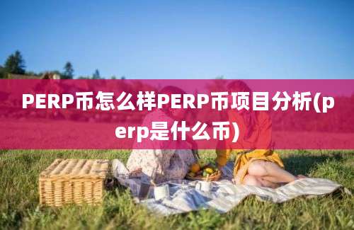 PERP币怎么样PERP币项目分析(perp是什么币)