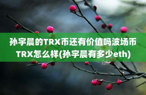 孙宇晨的TRX币还有价值吗波场币TRX怎么样(孙宇晨有多少eth)