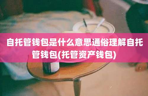 自托管钱包是什么意思通俗理解自托管钱包(托管资产钱包)