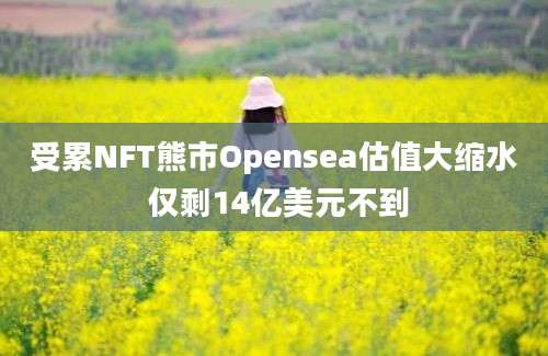 受累NFT熊市Opensea估值大缩水 仅剩14亿美元不到