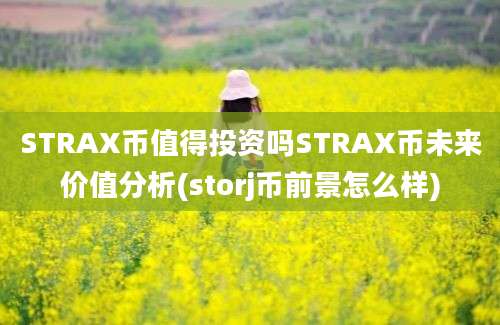 STRAX币值得投资吗STRAX币未来价值分析(storj币前景怎么样)