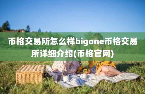 币格交易所怎么样bigone币格交易所详细介绍(币格官网)