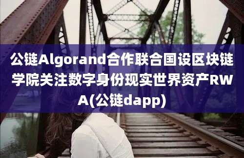 公链Algorand合作联合国设区块链学院关注数字身份现实世界资产RWA(公链dapp)