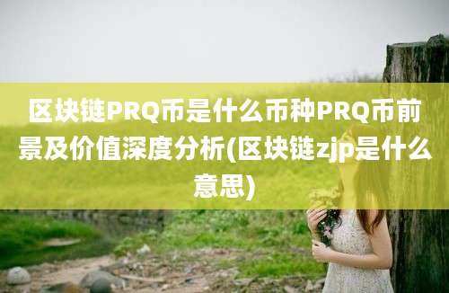 区块链PRQ币是什么币种PRQ币前景及价值深度分析(区块链zjp是什么意思)