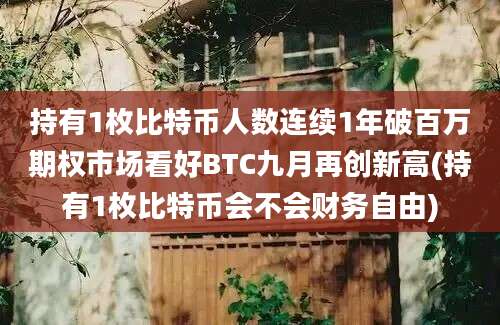 持有1枚比特币人数连续1年破百万期权市场看好BTC九月再创新高(持有1枚比特币会不会财务自由)