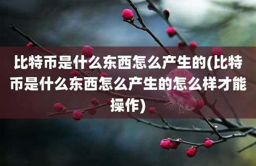 比特币是什么东西怎么产生的(比特币是什么东西怎么产生的怎么样才能操作)