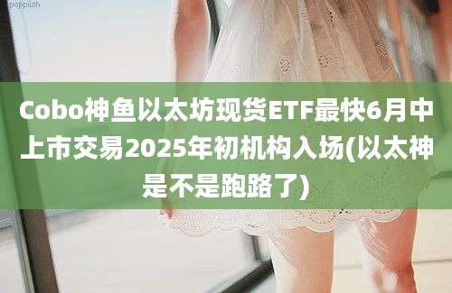 Cobo神鱼以太坊现货ETF最快6月中上市交易2025年初机构入场(以太神是不是跑路了)