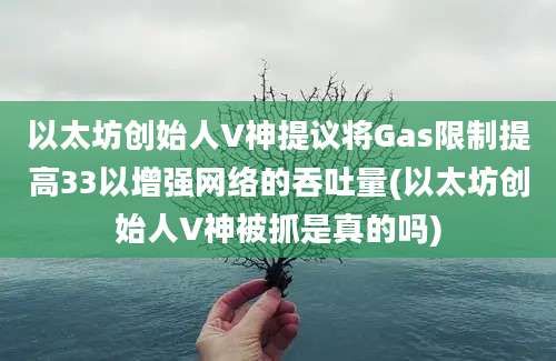 以太坊创始人V神提议将Gas限制提高33以增强网络的吞吐量(以太坊创始人V神被抓是真的吗)