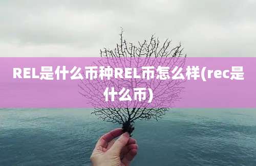 REL是什么币种REL币怎么样(rec是什么币)