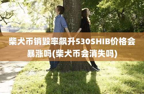 柴犬币销毁率飙升530SHIB价格会暴涨吗(柴犬币会消失吗)