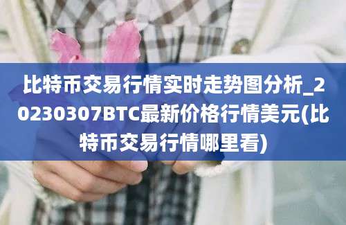 比特币交易行情实时走势图分析_20230307BTC最新价格行情美元(比特币交易行情哪里看)