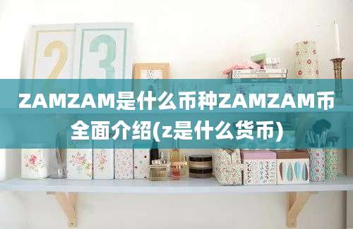 ZAMZAM是什么币种ZAMZAM币全面介绍(z是什么货币)