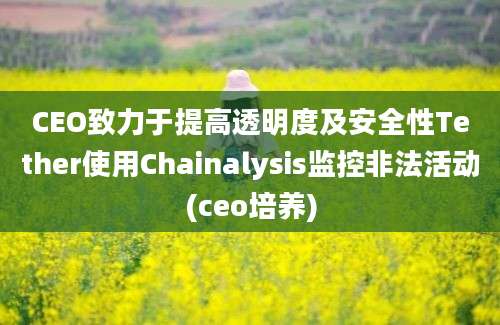 CEO致力于提高透明度及安全性Tether使用Chainalysis监控非法活动(ceo培养)