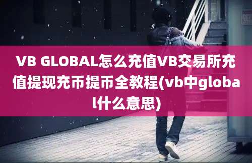 VB GLOBAL怎么充值VB交易所充值提现充币提币全教程(vb中global什么意思)