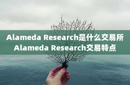 Alameda Research是什么交易所Alameda Research交易特点